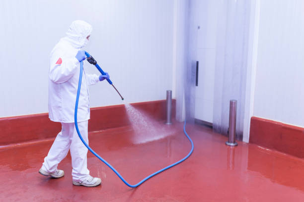 Best Playground Equipment Cleaning  in Kendall, FL